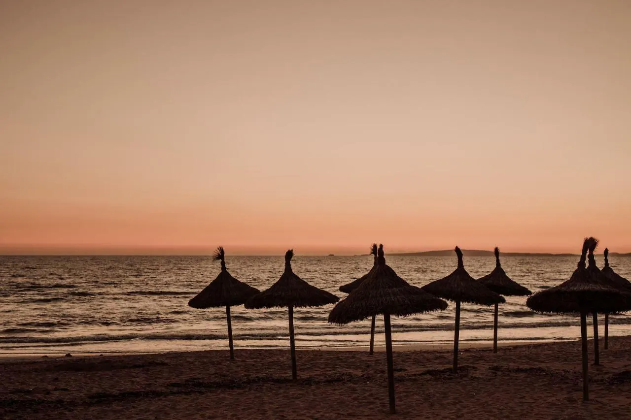 Hotel Caramelo Palma Beach (Adults Only) Playa de Palma